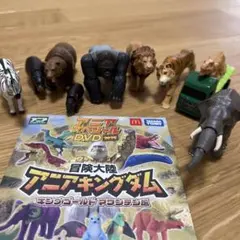 アニア　セット売り　DVD付き