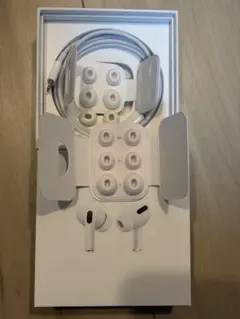 USB-C Lightning 充電ケーブル AirPodsPro イヤーチップ