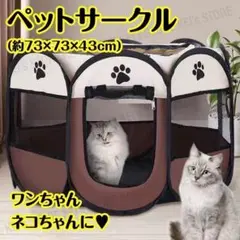 Item thumbnail for item 03bb259e-cc9b-4b31-84c6-30aa6fa407ee