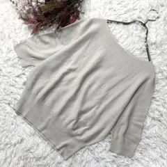 美品！イネド INED ラメ入 サマーニット 【9/M】グレージュ系 ドルマン風