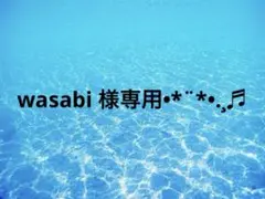 wasabi様 リクエスト 3点 まとめ商品