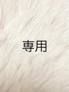 R❤︎‬様専用