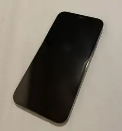 自*満様 Apple iPhone 12 Pro グラファイト 6.1インチ 本