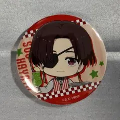 WIND BREAKER ウィンブレ and GALLERY 缶バッジ 蘇枋隼飛