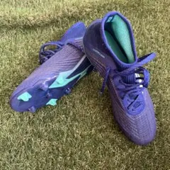 Item thumbnail for item ef401758-a156-48db-be1b-f2abe2d57113