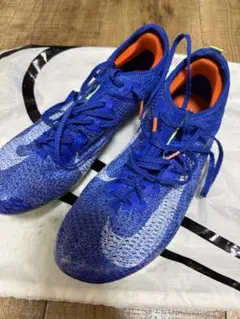 nike zoom fly 6 plm 駅伝 25cm - メルカリ