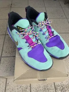 Nike ACG マウンテン　30cm US12のサムネイル