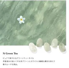 N Green Tea：ND-077-J/ ohora gelnails nai
