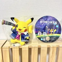 ポケモンセンター ポケモン天文台 ピカチュウ ぬいぐるみ - メルカリ