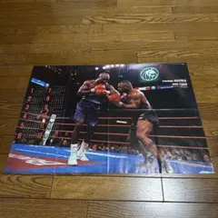 「マイク・タイソン vsイベンダー・ホリフィールド」ポスター