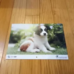 kazuami様 リクエスト 2点 まとめ商品