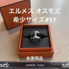 2026年最新】HERMES リング オスモズの人気アイテム - メルカリ