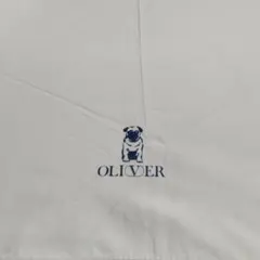 Item thumbnail for item 91f4fe26-b228-4760-a052-ee92c5a82801