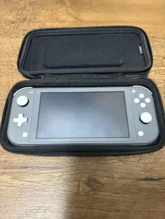 Nintendo Switch Lite グレー ケース付き