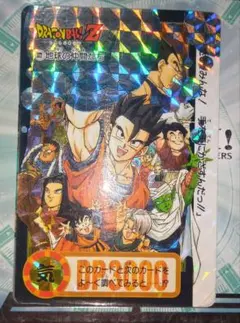 ドラゴンボールZ トレーディングカード ホロ仕様