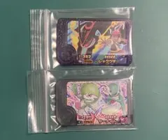 ポケモンフレンダ レックウザ サーナイト