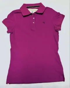 ABERCROMBIE AND FITCHポロシャツLピンク系