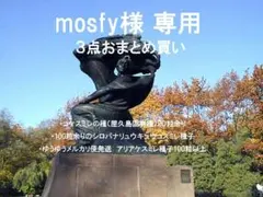 mosfy様 リクエスト 3点 まとめ商品