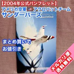 米空軍アクロバット飛行チーム サンダーバーズ 2004年公式パンフレットのサムネイル