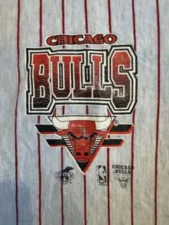 NBAシカゴブルズ 70勝記念 Tシャツ 1996 ヴィンテージ - メルカリ
