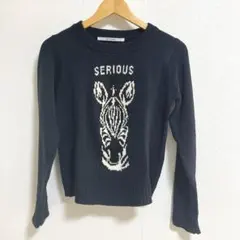 レイカズン　ニット　シマウマ　ネイビー　薄手　秋