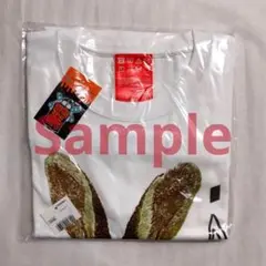 Item thumbnail for item 9999efa1-cc41-4a89-bcd2-b6c8b401018d