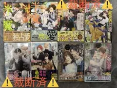 ベリーズ文庫4月新刊7冊 佐倉伊織 惣領莉沙他 - メルカリ