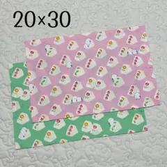 ランチョンマット 20×30 2枚セット シマエナガサンド　女の子向け　女児
