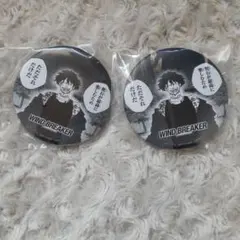 WINDBREAKER ウィンブレ デビル 棪堂哉真斗 缶バッジ - メルカリ