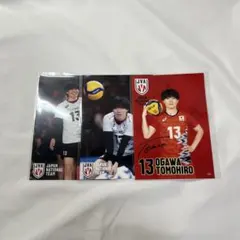 小川智大 プロマイド 写真 3枚セット