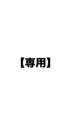 専用ページ