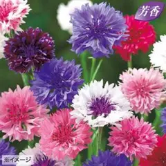 yukon様 リクエスト 4点 まとめ商品