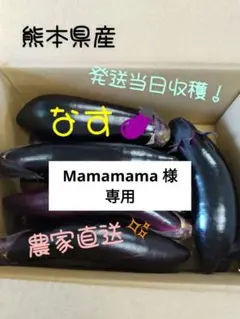 おまかせ野菜セット(Mamamama様専用)