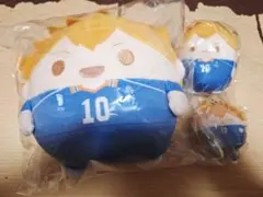 ハイキュー　くじメイト　ぬいくじ　ふわコロりん　てのりんず　日向翔陽セット