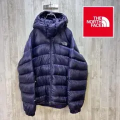 【海外限定】ノースフェイスパープルマウンテンダウン　メンズ100L　700フィル