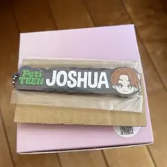 SEVENTEEN PetiTEEN ラバーチャーム　ジョシュア