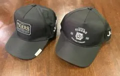 阪神タイガース 甲子園球場 100周年記念キャップ ピンバッジ - メルカリ
