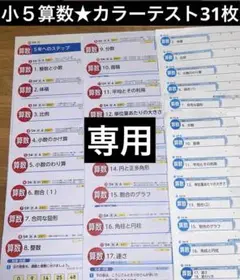 カラーテスト　２０２４年令和６年度小学５年生　光文書院　算数３１枚セット 啓林館