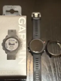 ガーミン245music