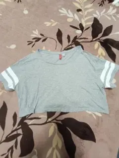 Item thumbnail for item 3f46b09b-1dd8-4720-8b1d-3dcebd7b8b88