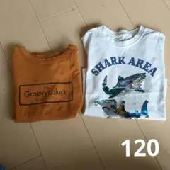 半袖Tシャツ ２枚セット