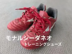 watowa様 Mizuno モナルシーダネオ 赤 レッド 22.5