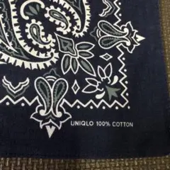 Item thumbnail for item ce8f17a3-277d-40a3-a7ad-eaa18ba04974