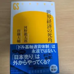 世界経済の死角