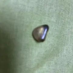 Item thumbnail for item a73bb335-506f-40ac-a0d2-3a78a390b3f7