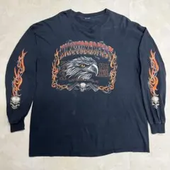 00s ビンテージ　ハーレー袖フレイムファイヤーパターン ロンT XL位