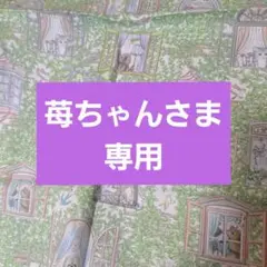専用出品