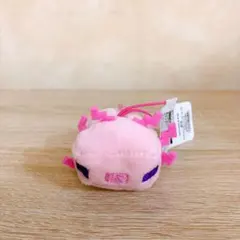 マインクラフト ウーパールーパー ミニマスコット