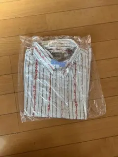 Item thumbnail for item 6b1c0545-2e08-4615-aa49-181bfc4df8d6