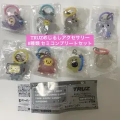 TRUZ めじるしアクセサリー 8種セミコンプ　セットトラズ　TREASURE